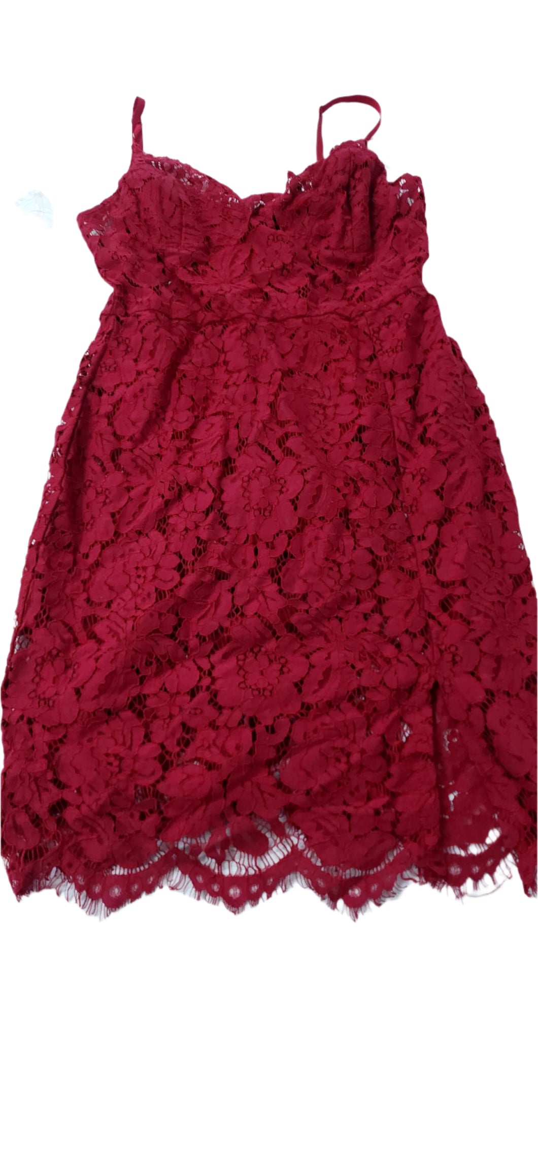 Lace Dress (large)