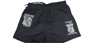 Women's Shorts (small)