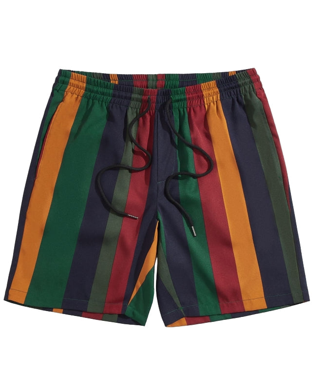 Men Striped Print Drawstring Waist Shorts