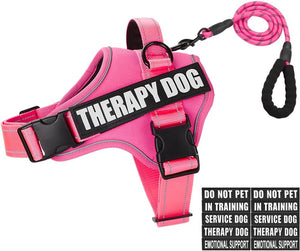 Dog Vest Harness and Leash Set Pink Medium