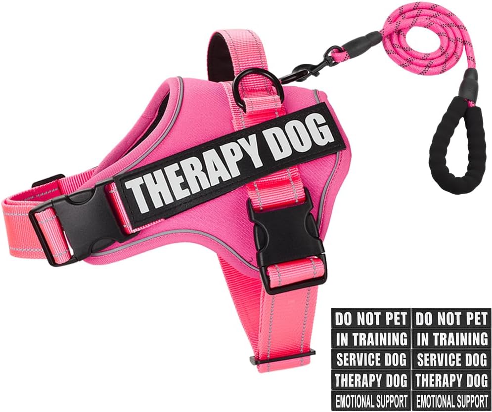 Dog Vest Harness and Leash Set Pink Medium