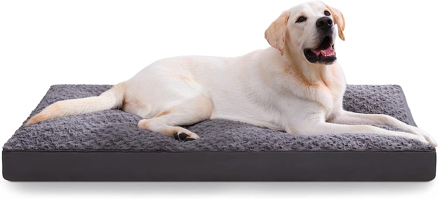 Ksiia Washable Dog Bed – West Tech Shipping