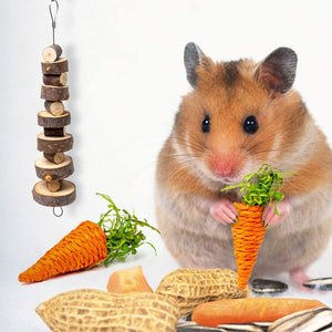 Sofier Natural Wooden Hamster Chew Toys Toys & Accessories